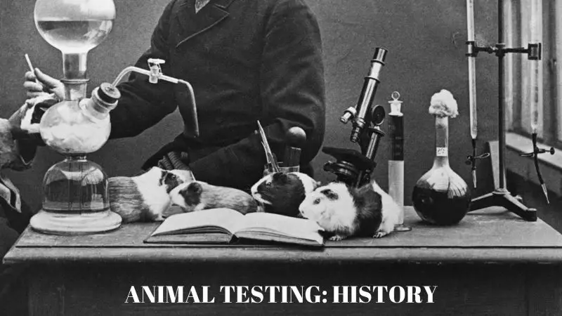 Animal Testing_ History