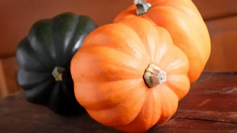 Is Acorn Squash Good for Guinea Pigs