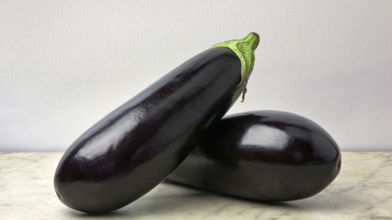 Is Aubergine Good for Guinea Pigs