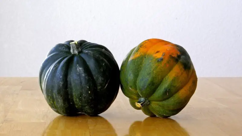 Nutrition Facts of Acorn Squash