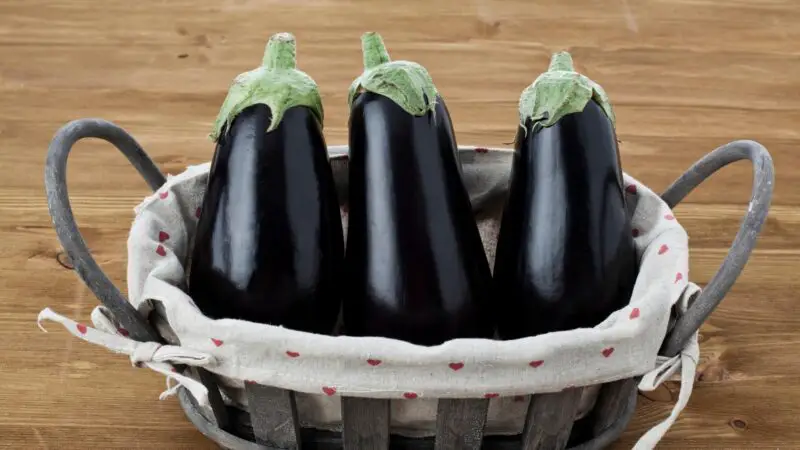 Quick Facts on Aubergines
