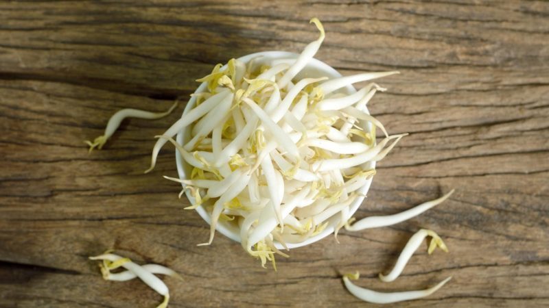 Are Bean Sprouts Bad for Guinea Pigs