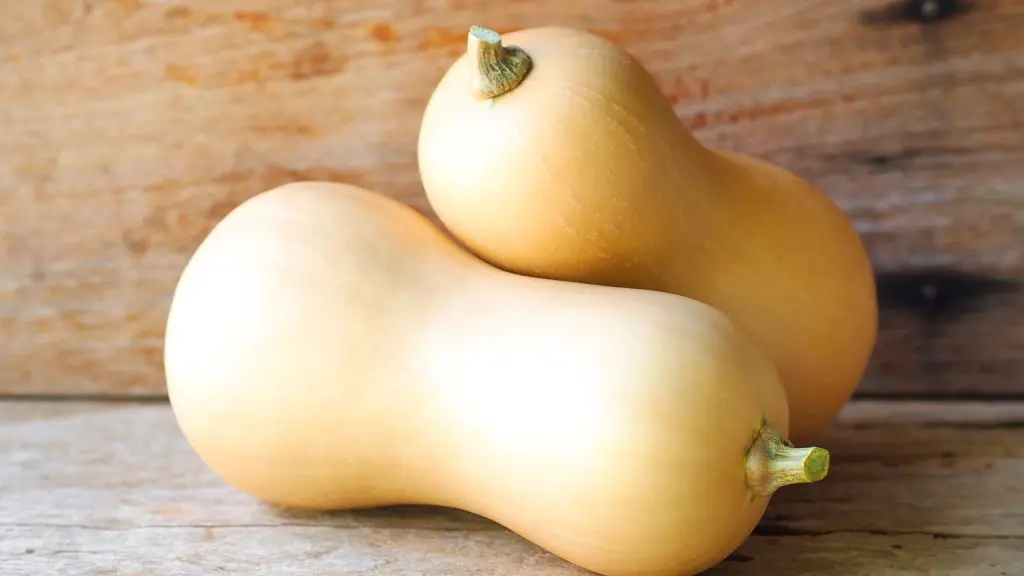 Can guinea pigs eat butternut squash peel