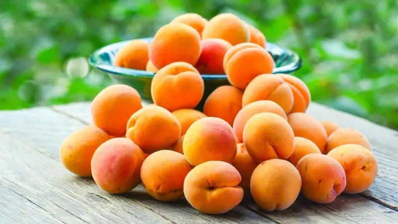Nutrition Facts of Apricots