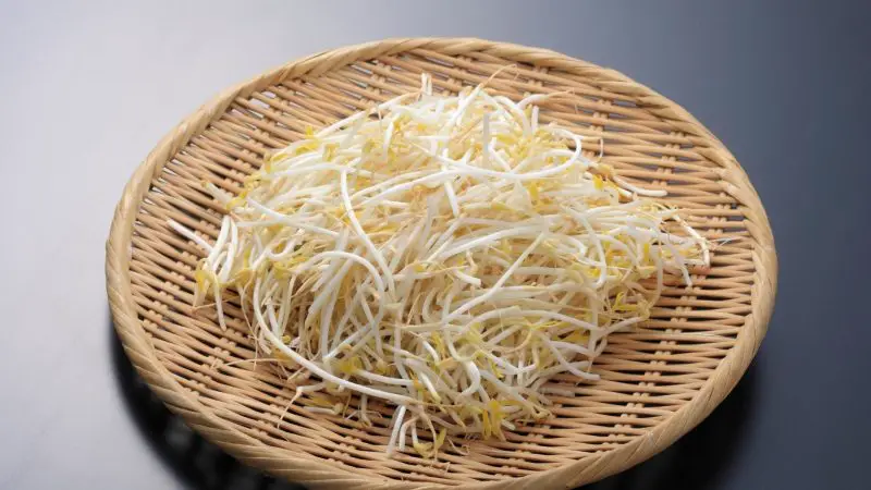 Nutrition Facts of Bean Sprouts