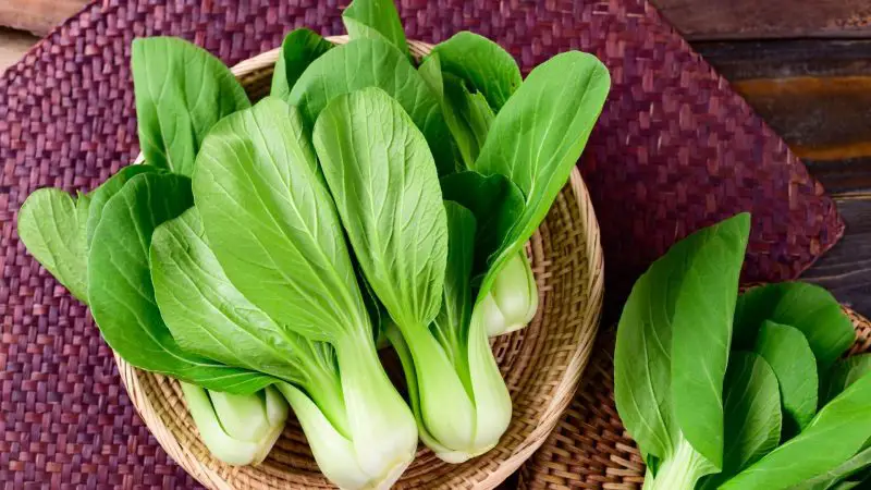 Nutrition Facts of Bok Choy