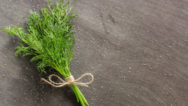 Nutrition Facts of Dill