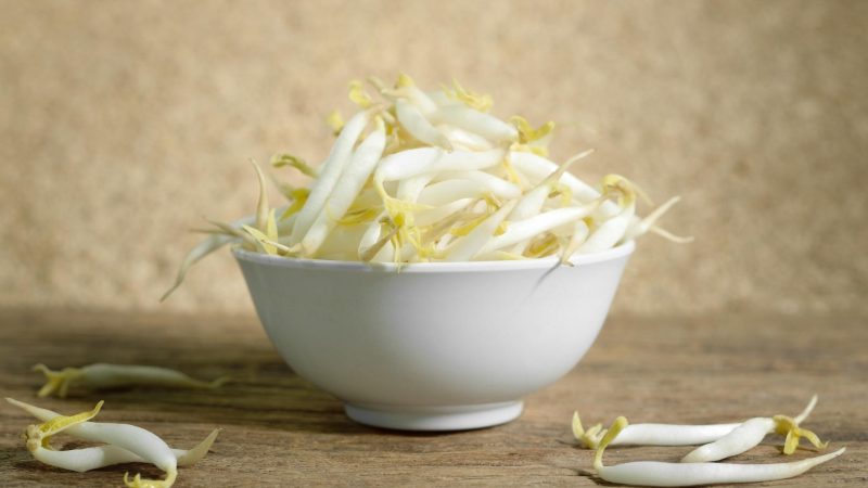 Serving and Frequency of Bean Sprouts for Guinea Pigs