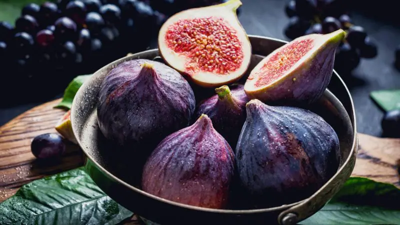Are Figs Good for Guinea Pigs Health Benefits