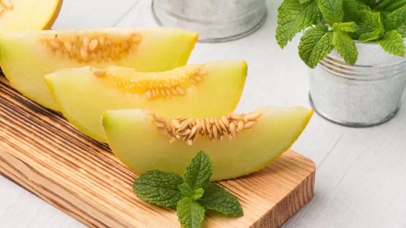Is Honeydew Melon Good for Guinea Pigs