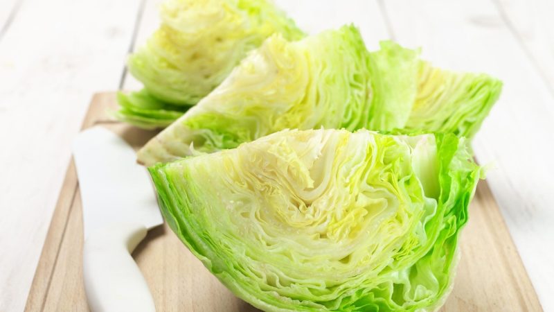 Is Iceberg Lettuce Good for Guinea Pigs