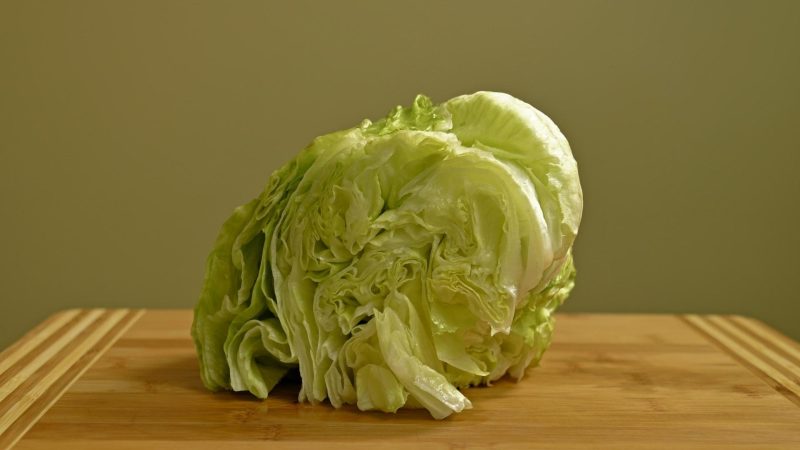 Is Iceberg Lettuce Poisonous to Guinea Pigs