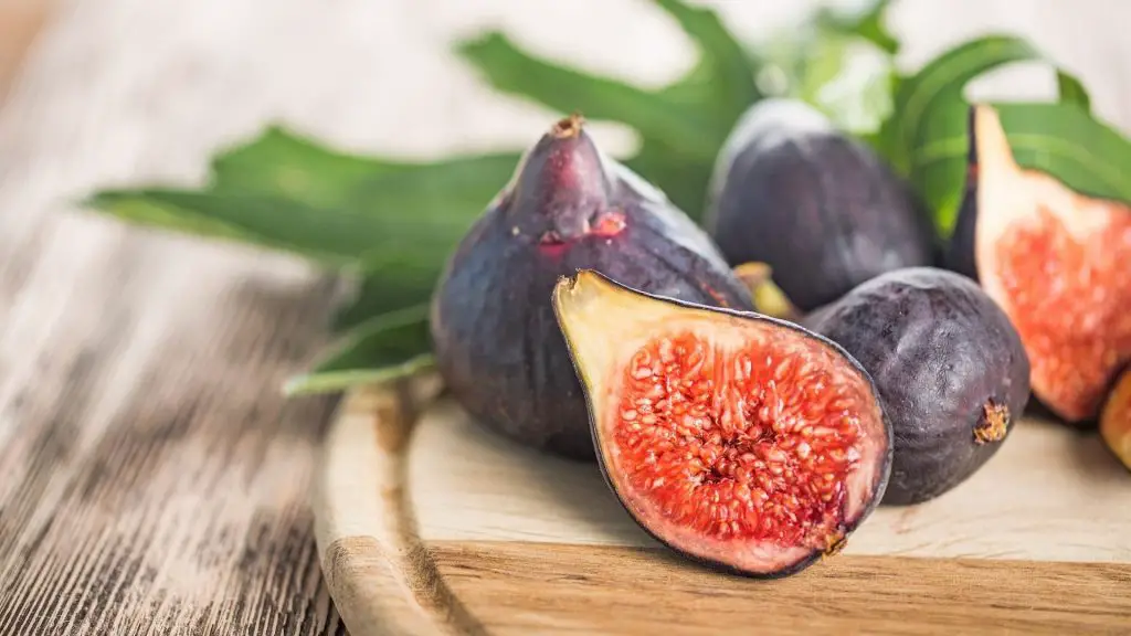 can guinea pigs eat fig leaves