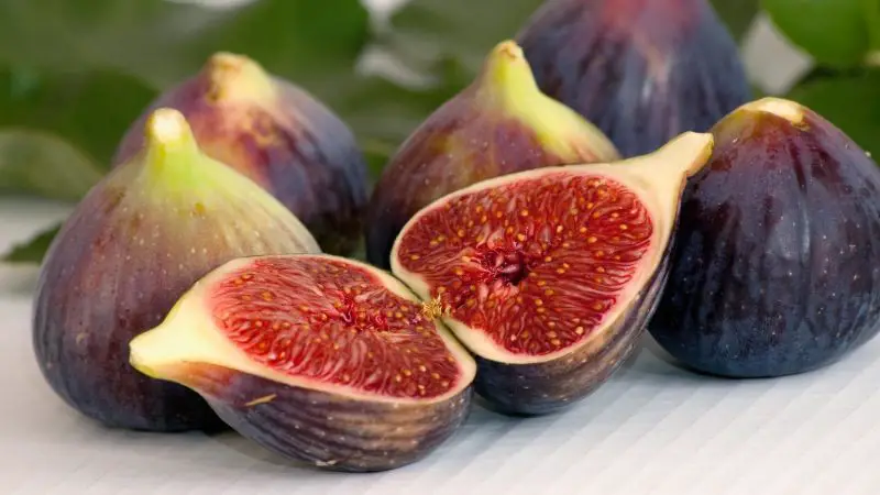 Quick Facts on Figs