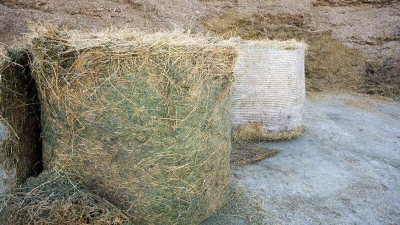 Quick Facts on Haylage