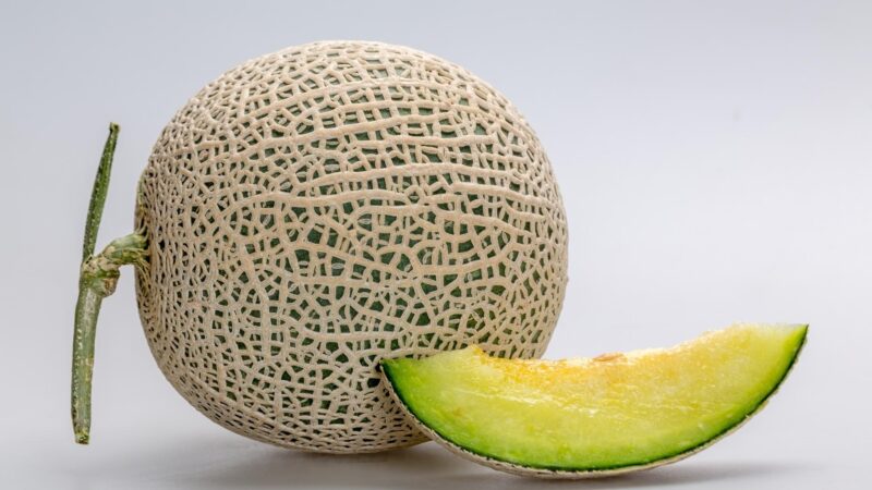 Quick Facts on Honeydew Melon