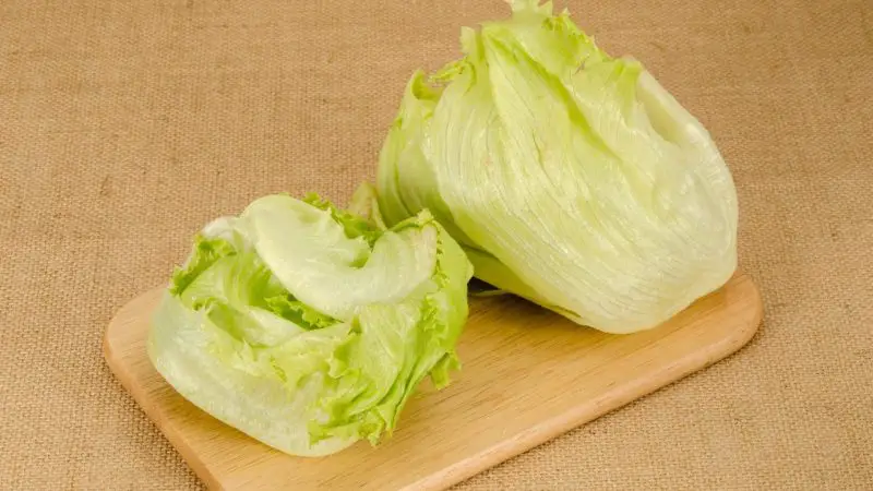Quick Facts on Iceberg Lettuce