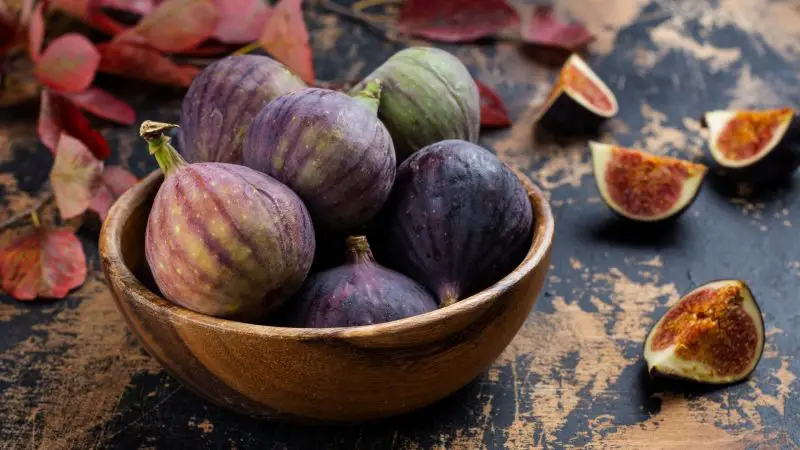 Serving and Frequency of Figs for Guinea Pigs