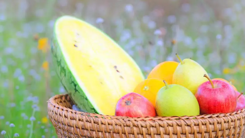 What Fruits Can Guinea Pigs Eat