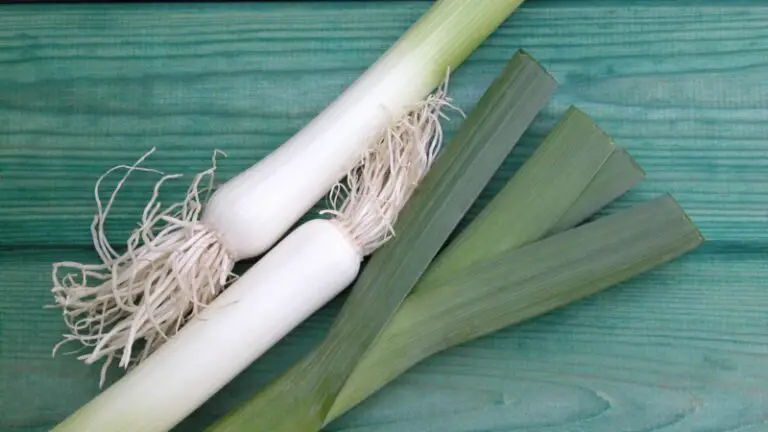 Image showcasing Can Guinea Pigs Eat Leeks? (Benefits, Risks & More) - Guinea Pig Tube