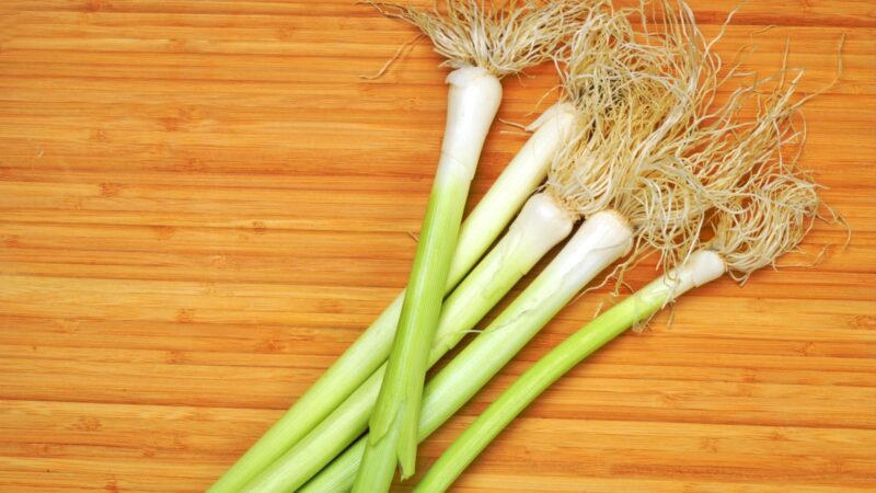 Are Leeks Good for Guinea Pigs