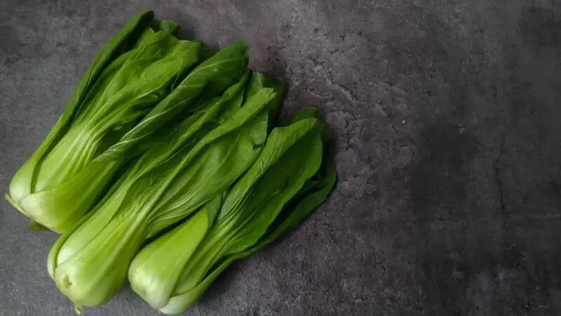 Are Mustard Greens Bad for Guinea Pigs