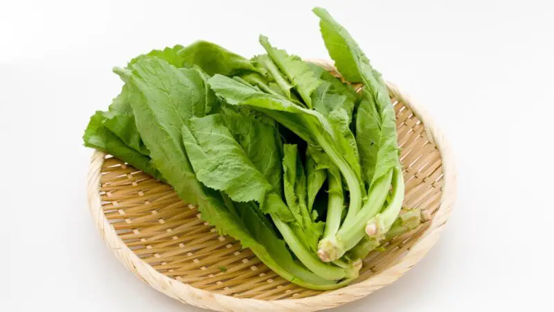 Are Mustard Greens Good for Guinea Pigs