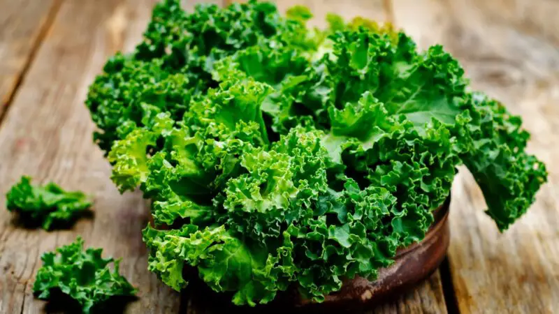 Nutrition Facts of Greens