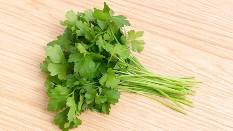 Nutrition Facts of Italian Parsley