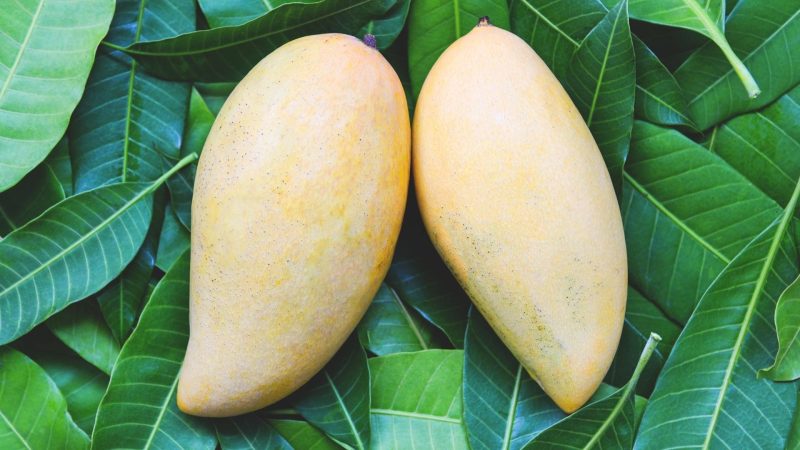 Nutrition Facts of Mango Skin