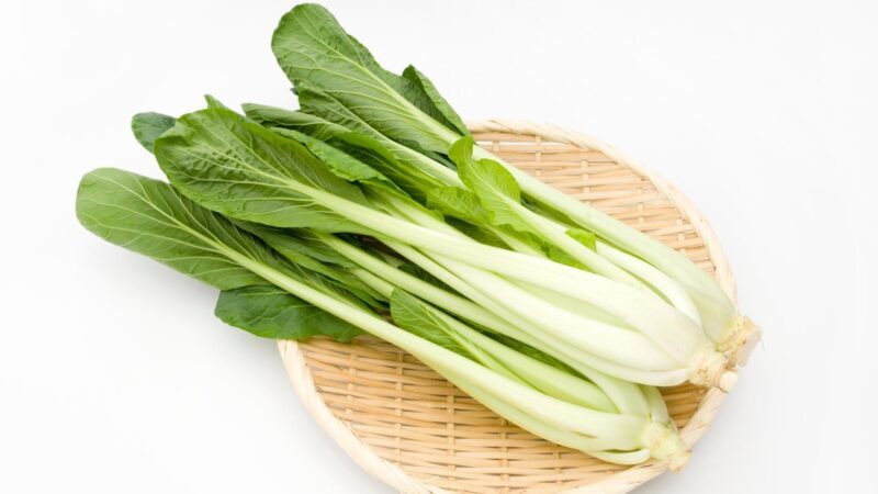 Serving and Frequency of Mustard Greens for Guinea Pigs