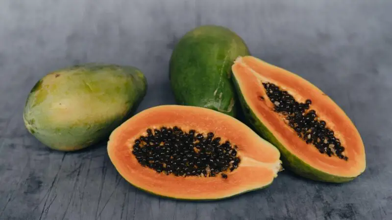 Can Papaya Be Bad for Guinea Pigs