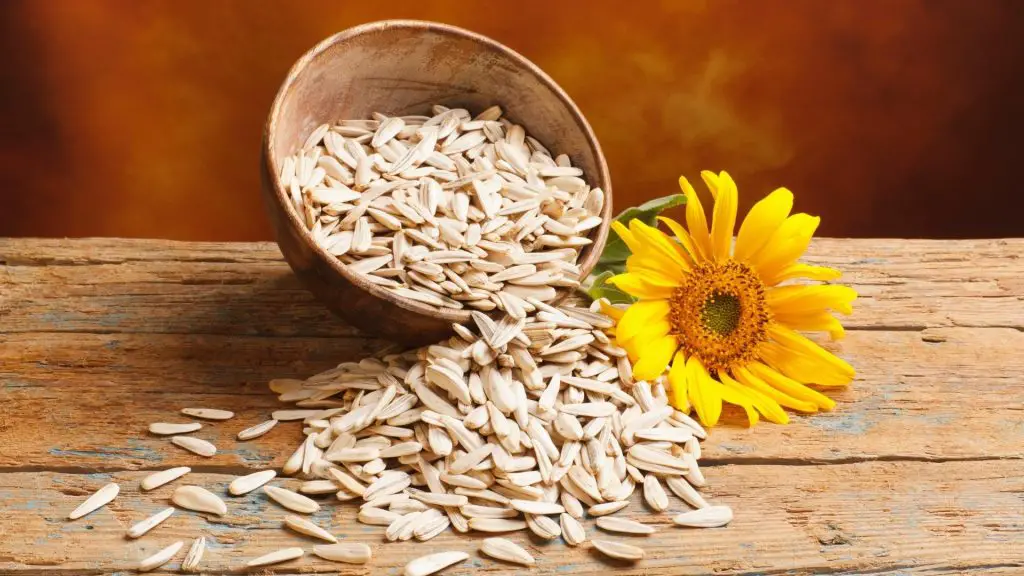 Quick Facts on Sunflower Seeds