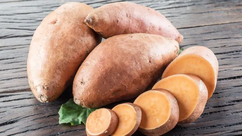 Serving Size and Frequency of Sweet Potato for Guinea Pigs