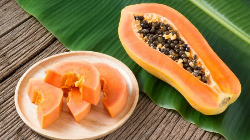 Serving and Frequency of Papaya for Guinea Pigs