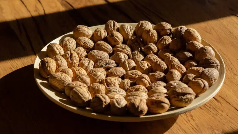 Are Walnuts Bad for Guinea Pigs