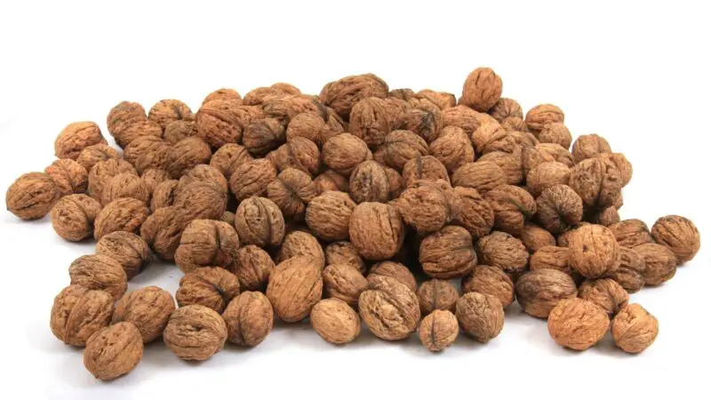 Nutrition Facts of Walnuts