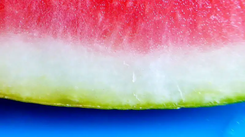 Nährwerte der Wassermelonenschale