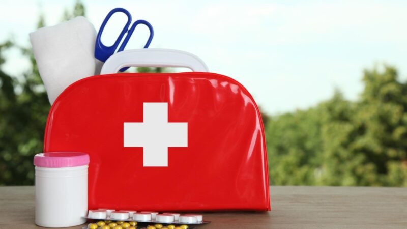 Guinea Pig First Aid Kit - Most Important Components