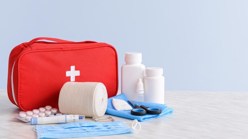How to Make a Guinea Pig First Aid Kit
