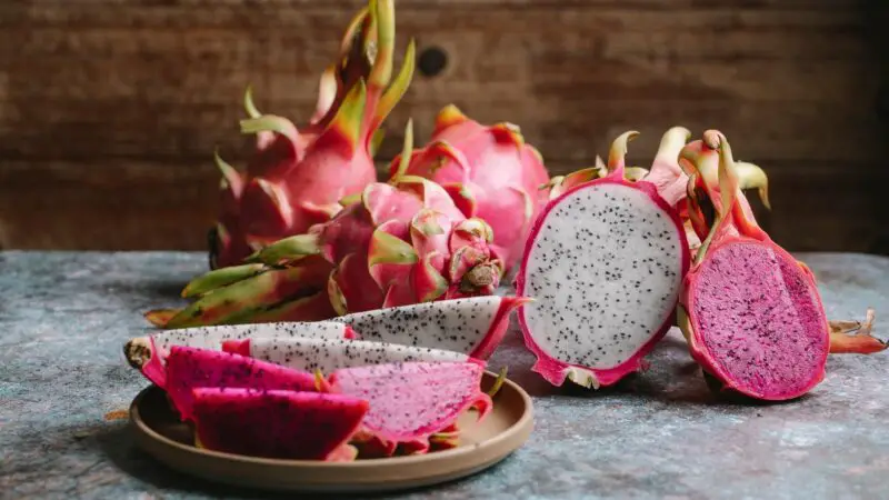 More Information About Guinea Pigs and Dragon Fruit