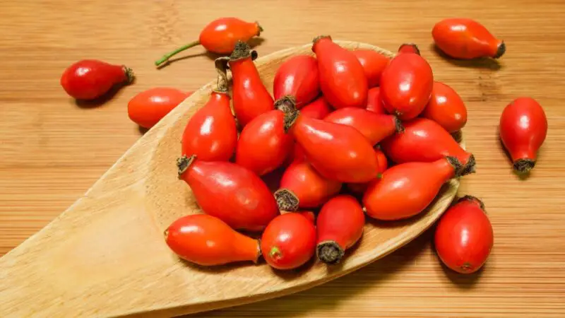 Serving Size, Preparation and Frequency of Rose Hip