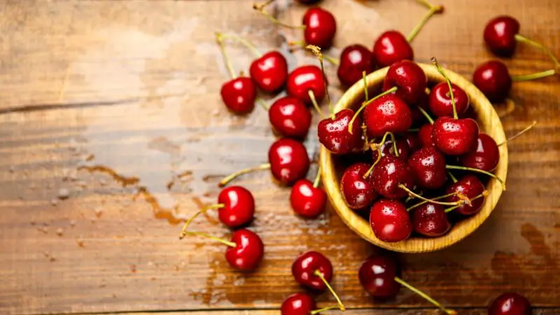 Can Cherries Be Bad for Guinea Pigs