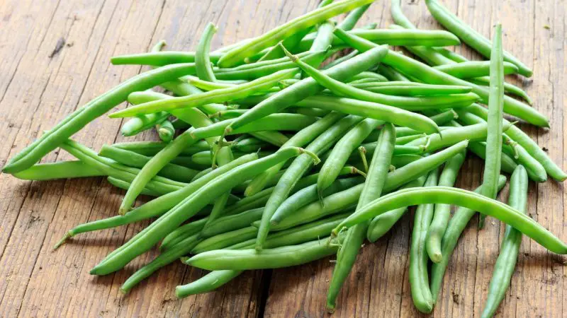 Are Green Beans Good for Guinea Pigs