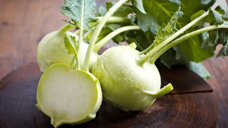 Is Kohlrabi Good for Guinea Pigs