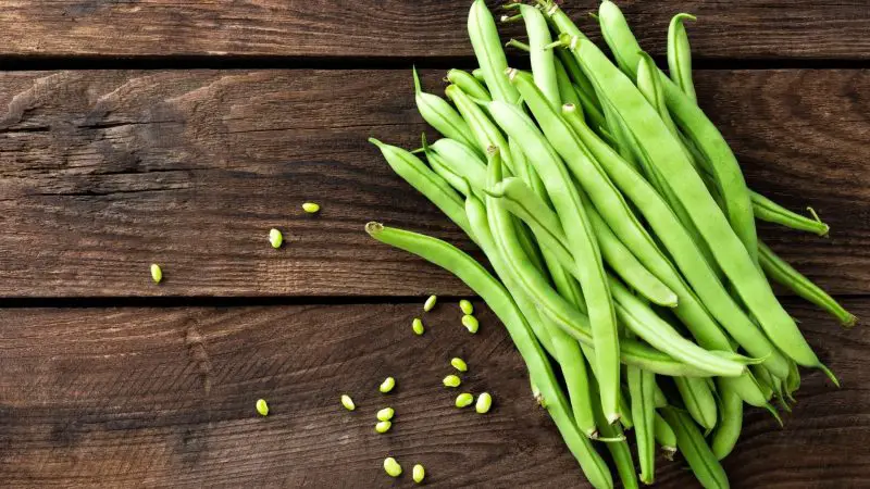 Risks to Consider When Giving Green Beans to Guinea Pigs