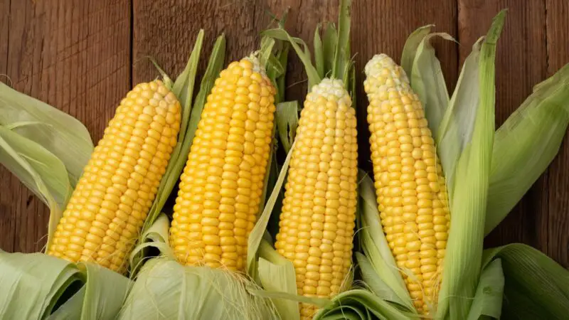 Serving Size, Frequency and Preparation of Corns