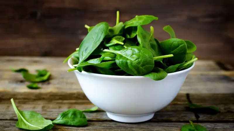 Can Guinea Pigs Eat Baby Spinach