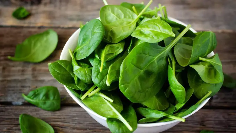 Is Spinach Bad for Guinea Pigs