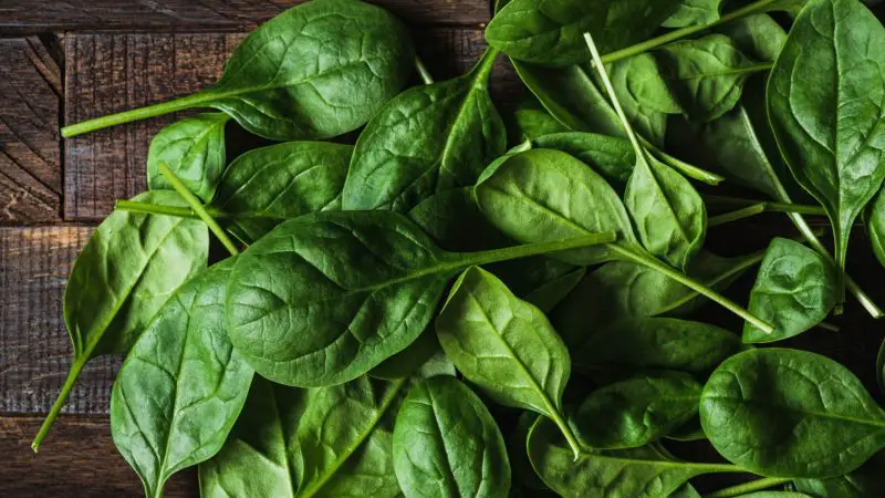 Nutrition Facts of Spinach